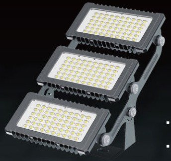 Torch Dragon LED module floodlight on a white background